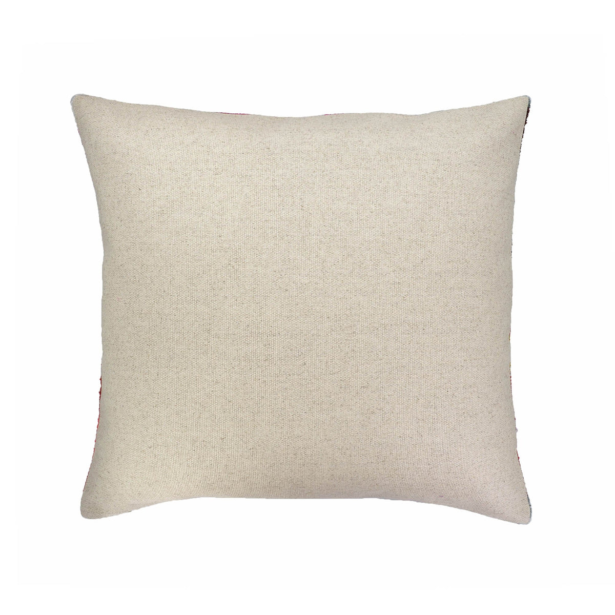20x20 Silk Velvet Throw Pillow Cover