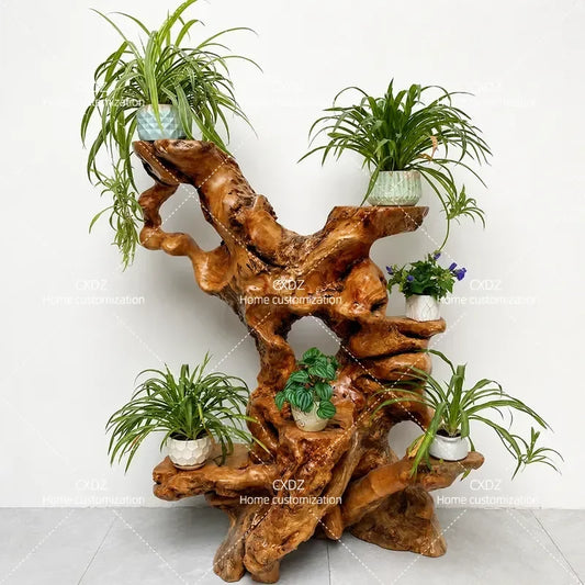 Natural Camphor Wood Root Carving Display Stand – Solid Wood Bonsai & Art Pedestal