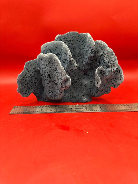 Vintage Blue Ridge Coral